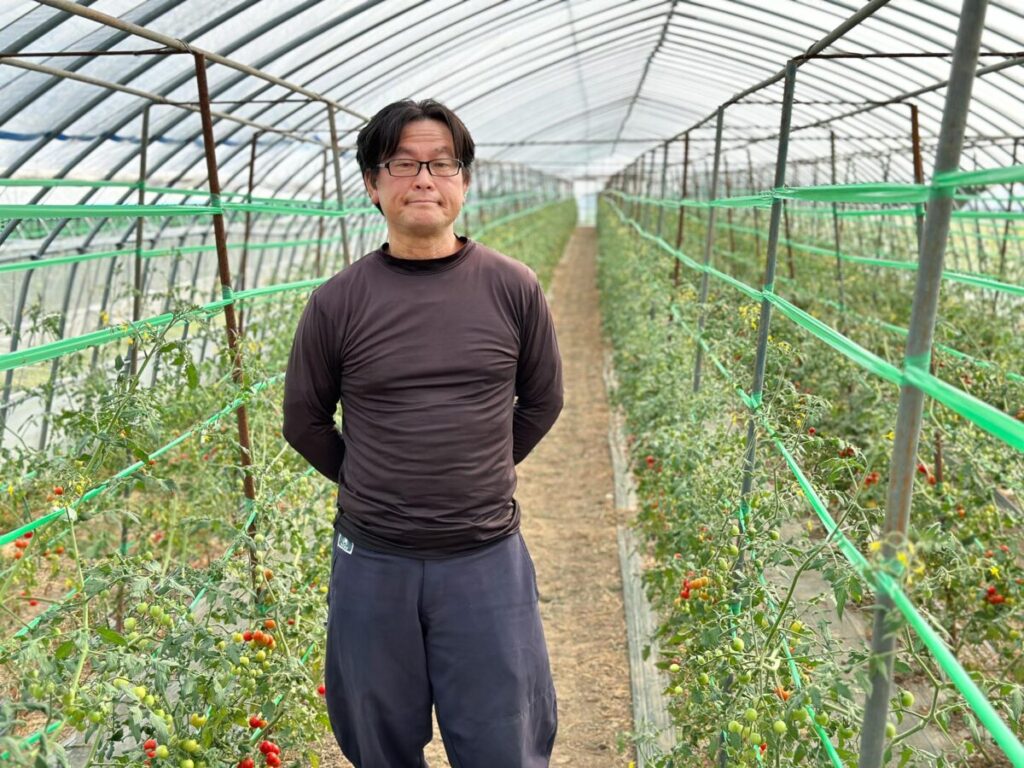 ミニトマトのハウスの中の山本さん