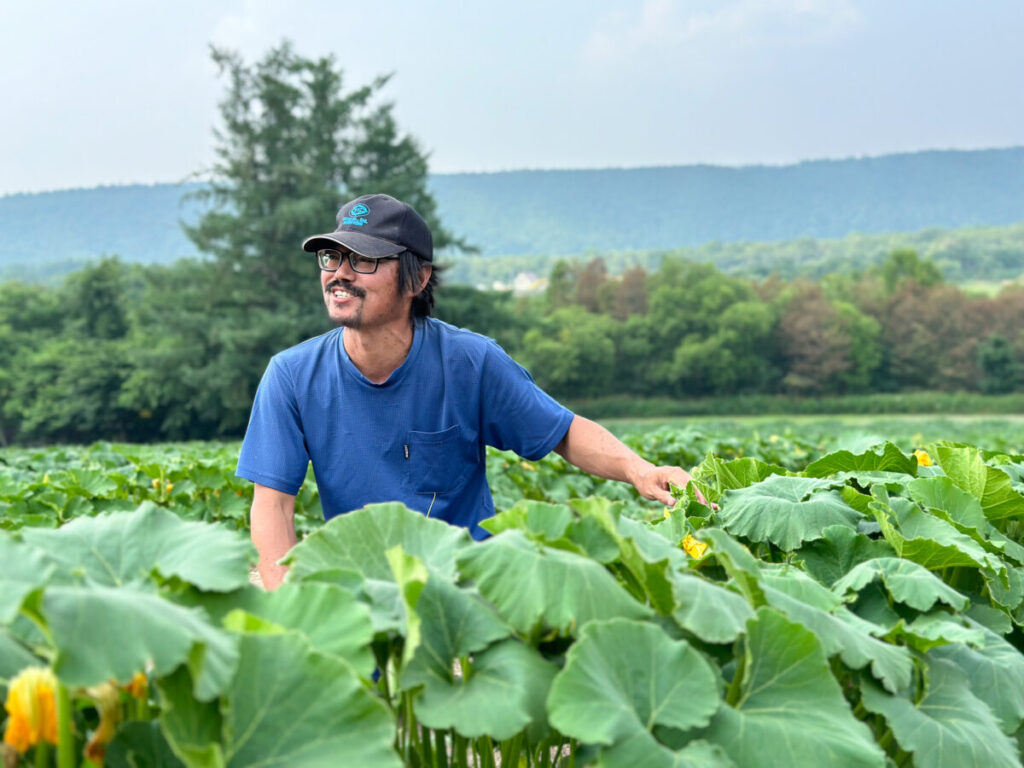 南瓜畑の田中さん