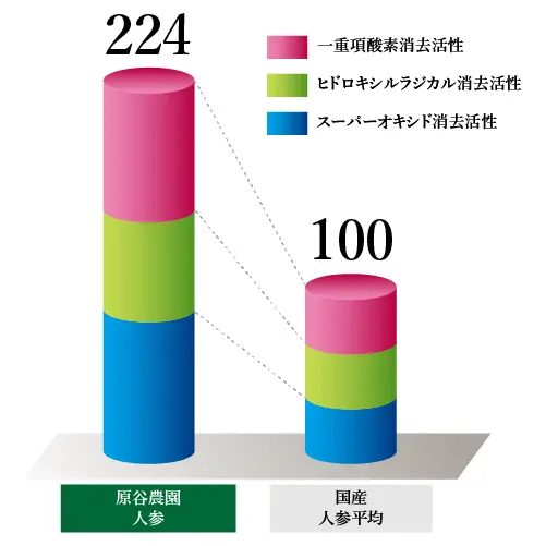 まごころの里の人参の抗酸化力